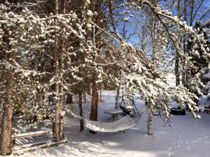 11010960_10152695465226053_8855054148134839510_n