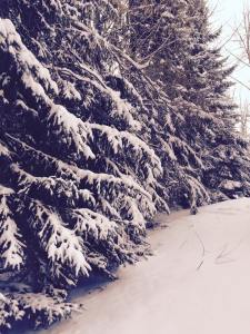 11045412_10152695460216053_563212884175330161_n