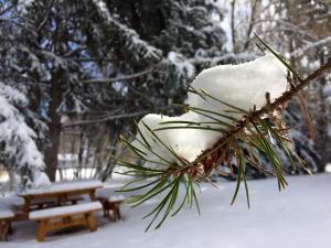 11054357_10152695461971053_5385106561332086948_n