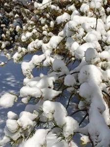 13828_10152695464361053_27248835283068755_n